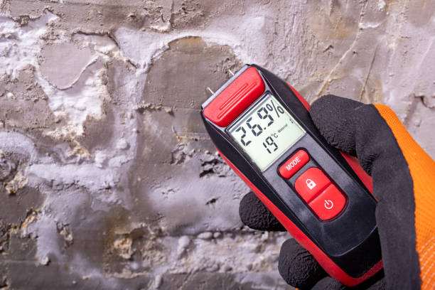 Best Mold Remediation for Specific Building Types in White Settlement, TX